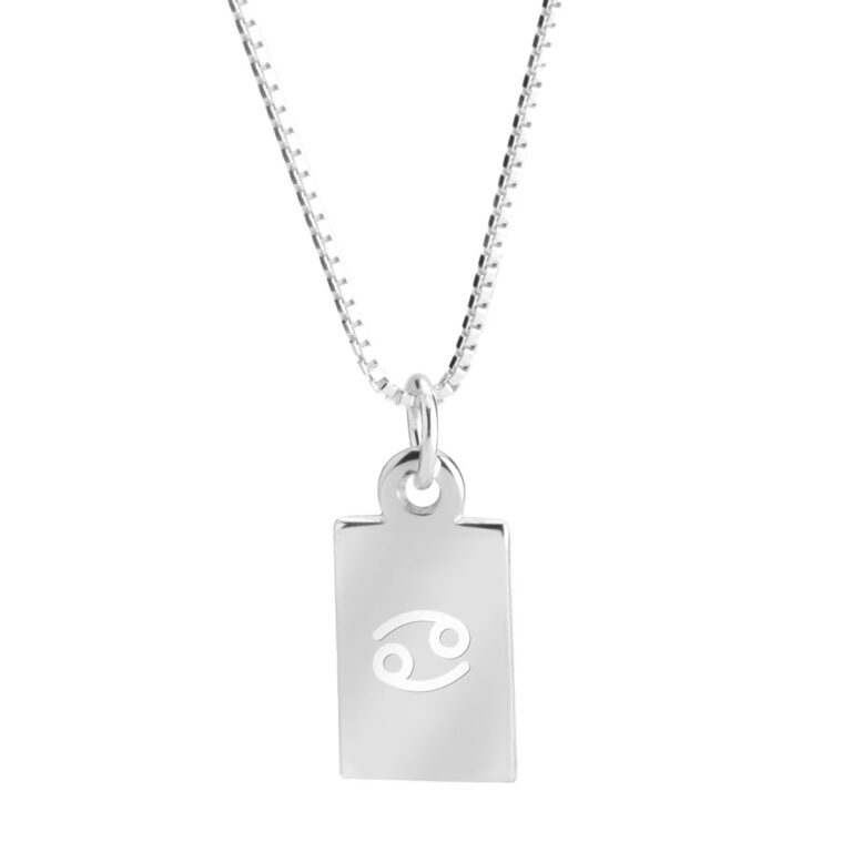 Delicate Zodiac Necklace