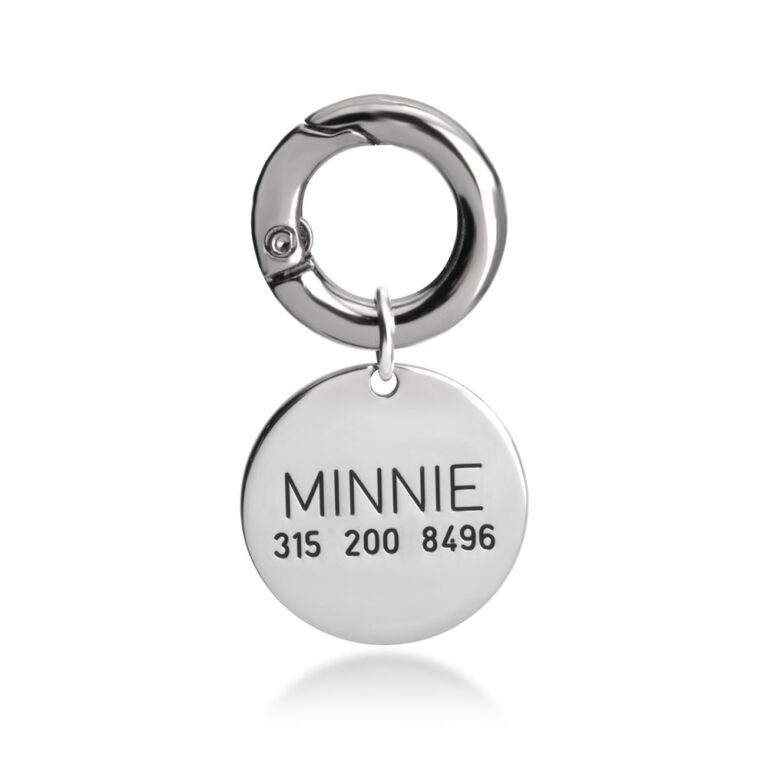 Cat or Dog Name Tag With Phone Number Contact
