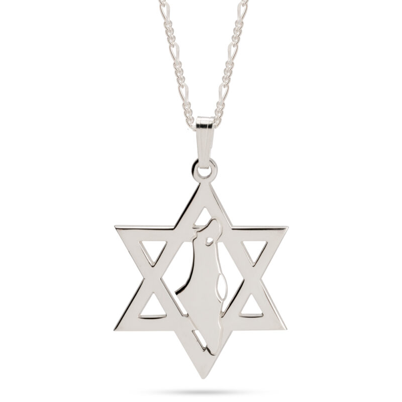 שרשרת מפת ארץ ישראל בתוך מגן דוד