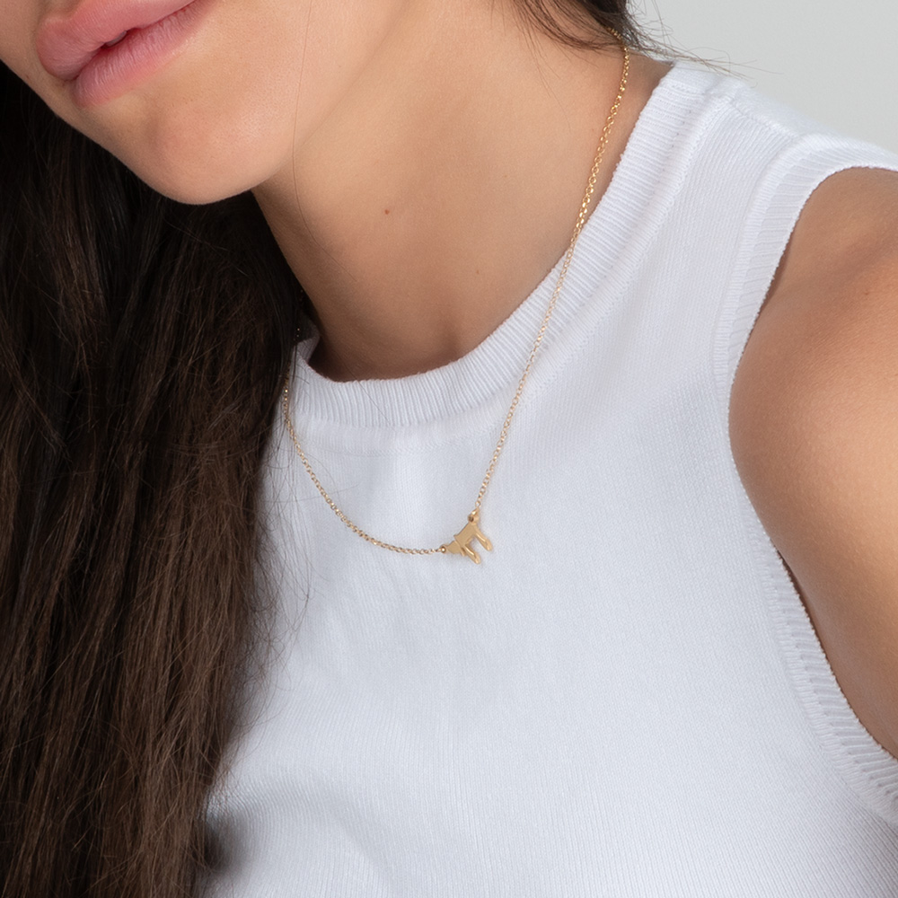 שרשרת חי עבה - דגם רולו שרשרת חי עבה - דגם רולו